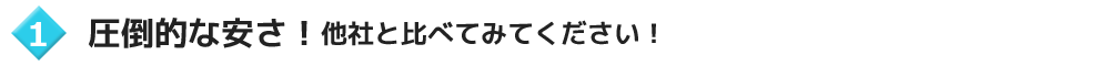 圧倒的な安さ！他社と比べてみてください！